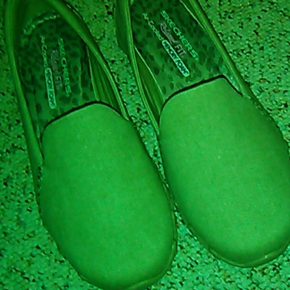 Sketchers